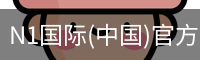 N1国际
